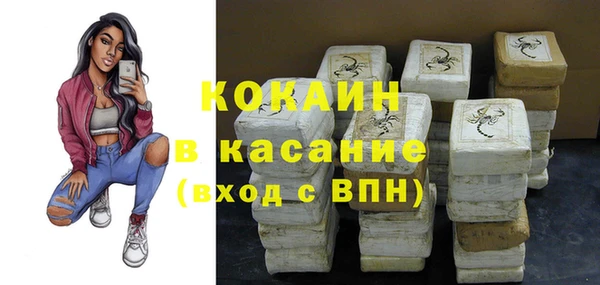 шишки Надым