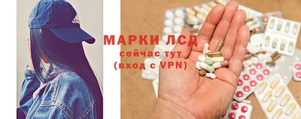 шишки Надым