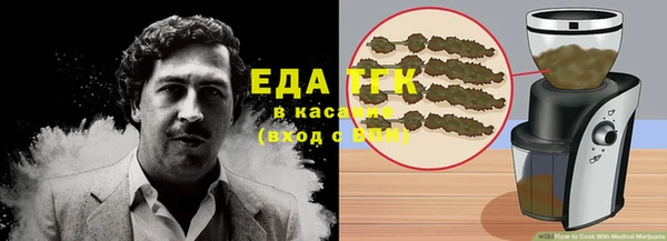 шишки Надым
