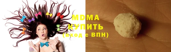 шишки Надым