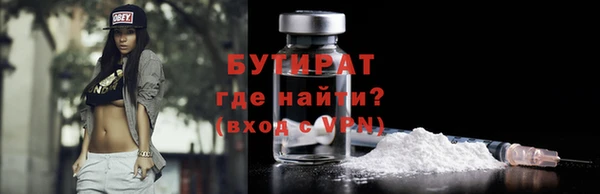 шишки Надым