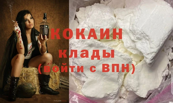 шишки Надым