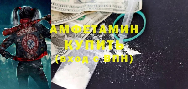 шишки Надым