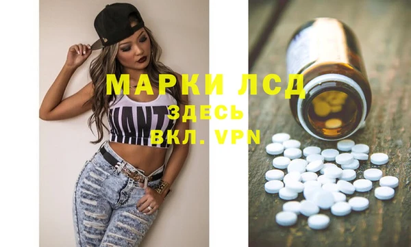 шишки Надым