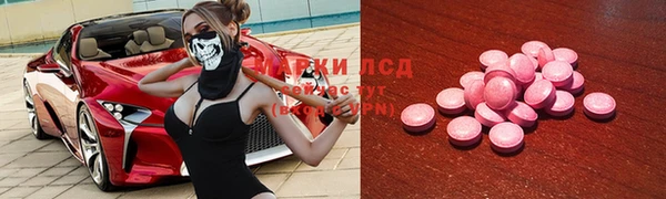 шишки Надым