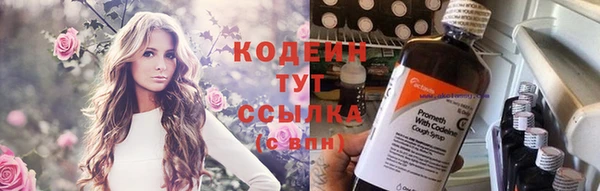 шишки Надым