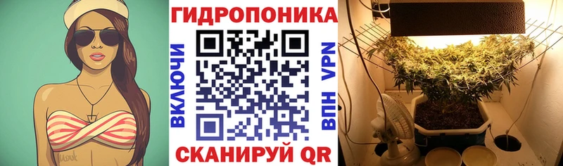 где купить наркоту  Карабаново  hydra зеркало  Марихуана LSD WEED 
